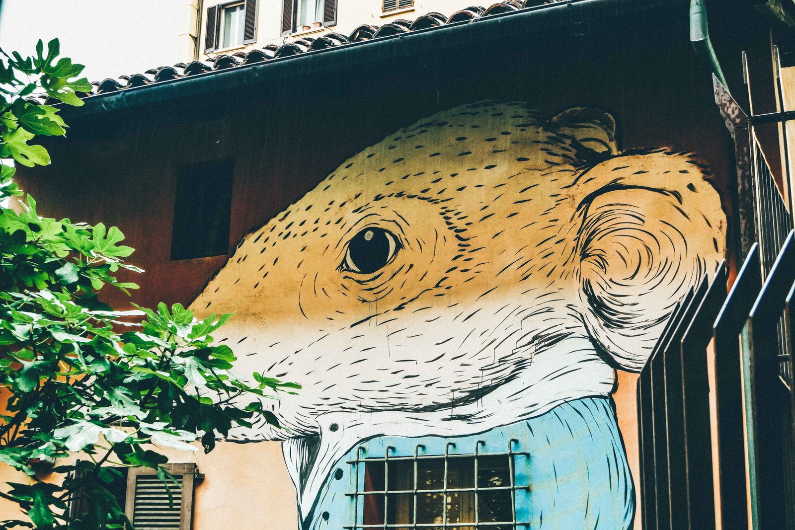 Street art Bologna