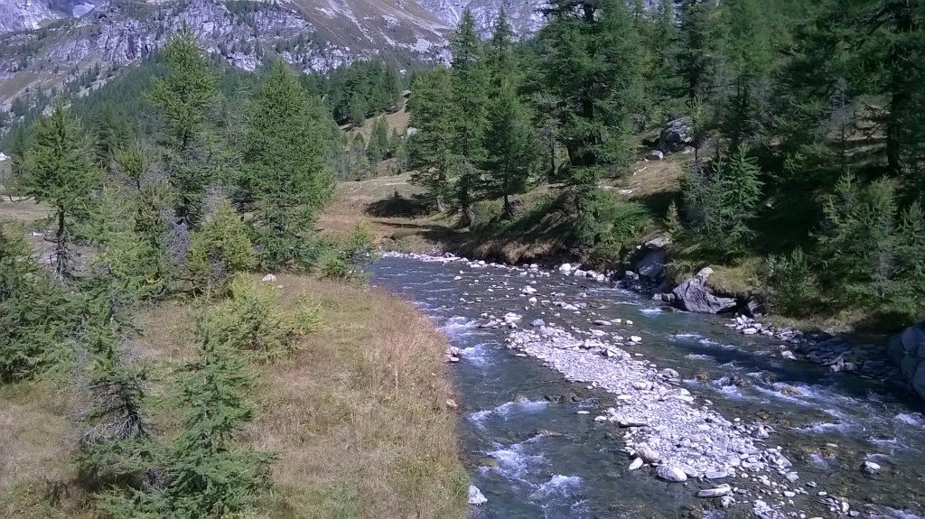Alpe Veglia