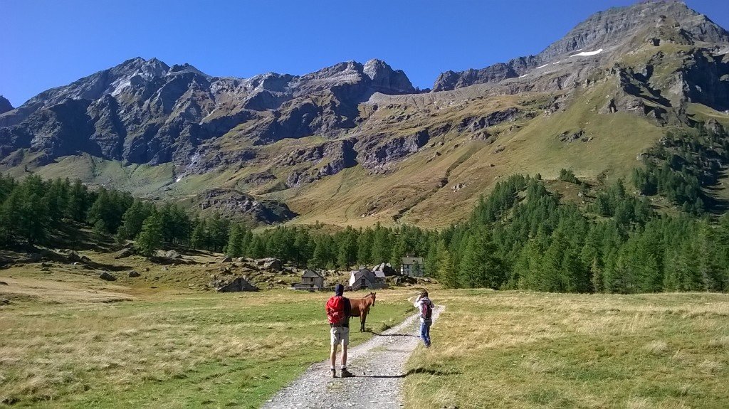 Alpe Veglia