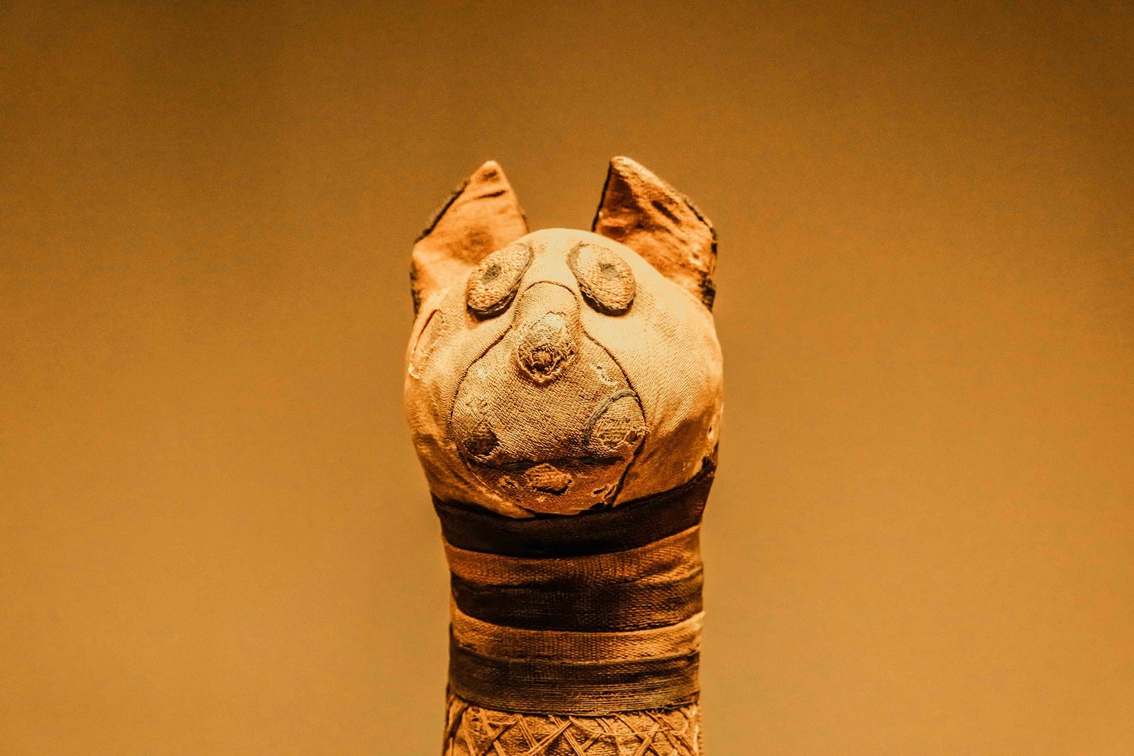 Simpatica marionetta di gatto mummificato