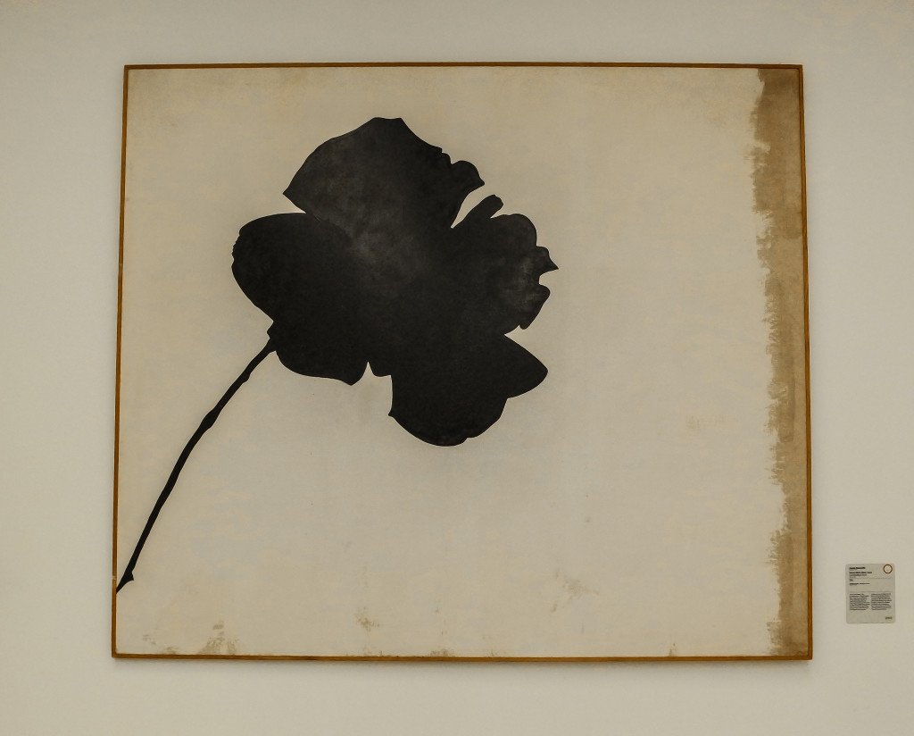 Rosa nera, Jannis Kounellis
