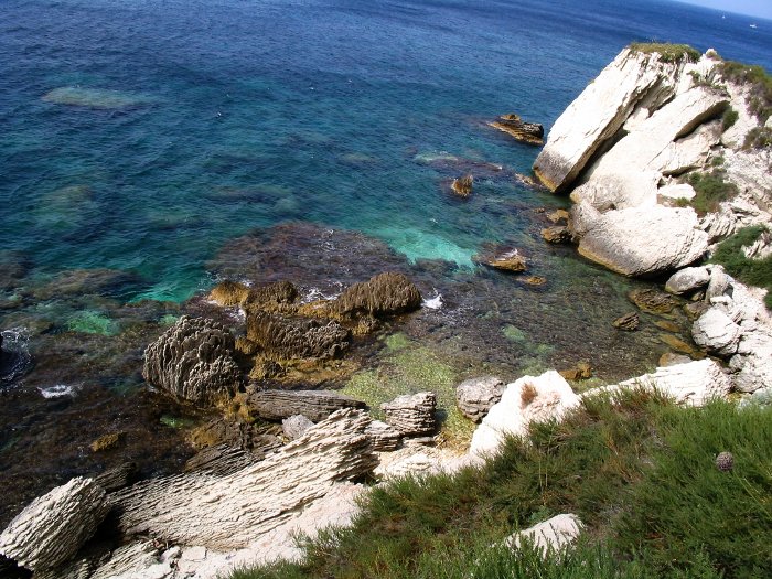 bonifacio5