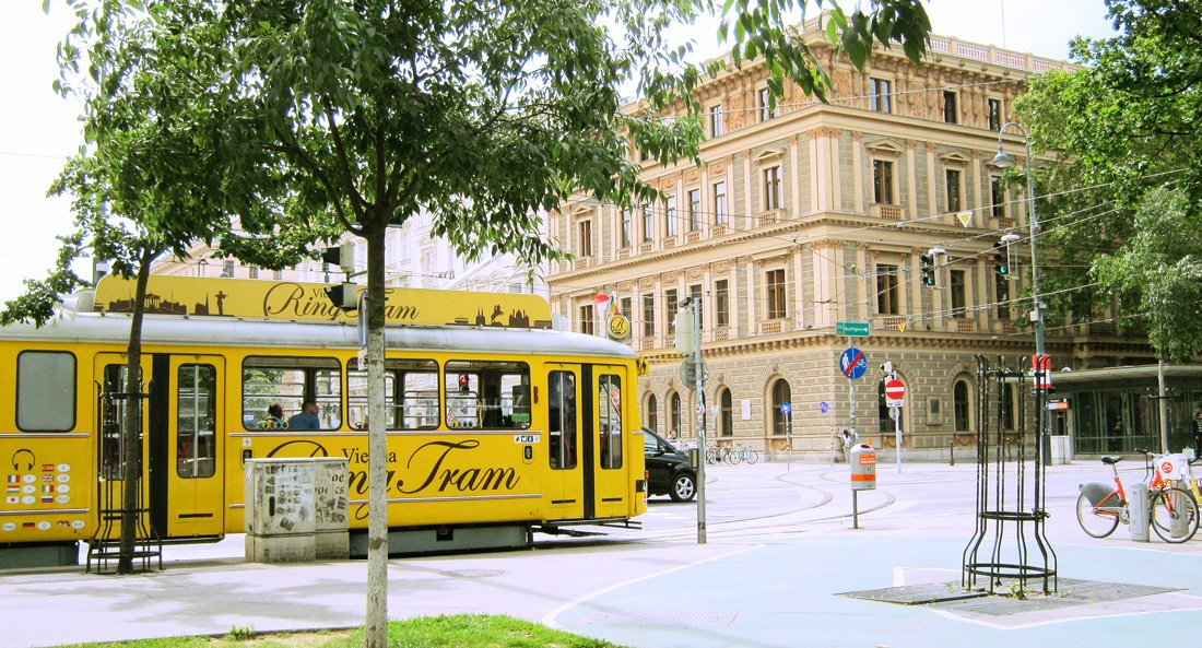 Vienna low cost