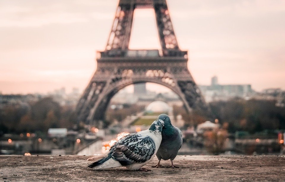 Parigi Parigi