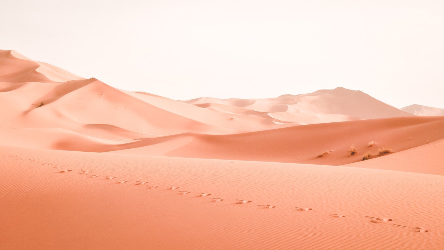 Mille e un Marocco, Letizia Gardin