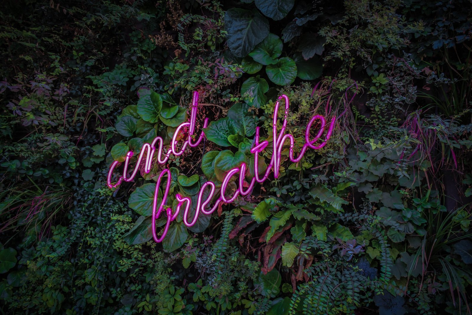 meditazione e respirazione