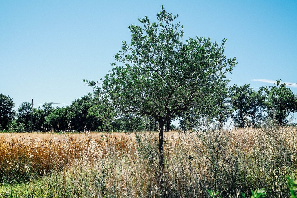 La bella Umbria