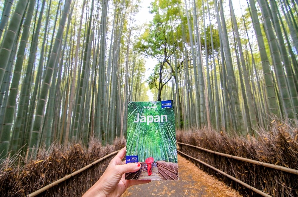 guida lonely planet