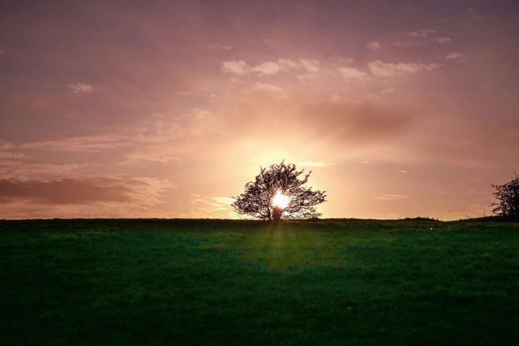 Visita a Trim Castle e Hill of Tara