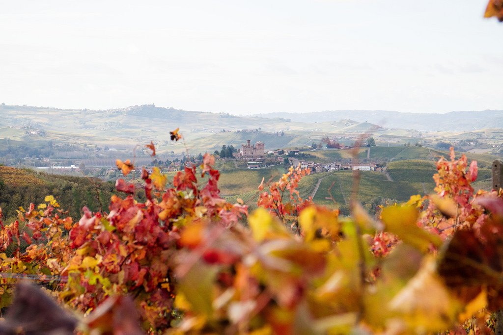 Langhe cosa vedere