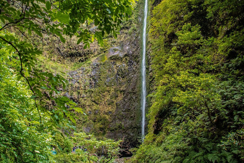 Levadas di Madeira: le escursioni da fare