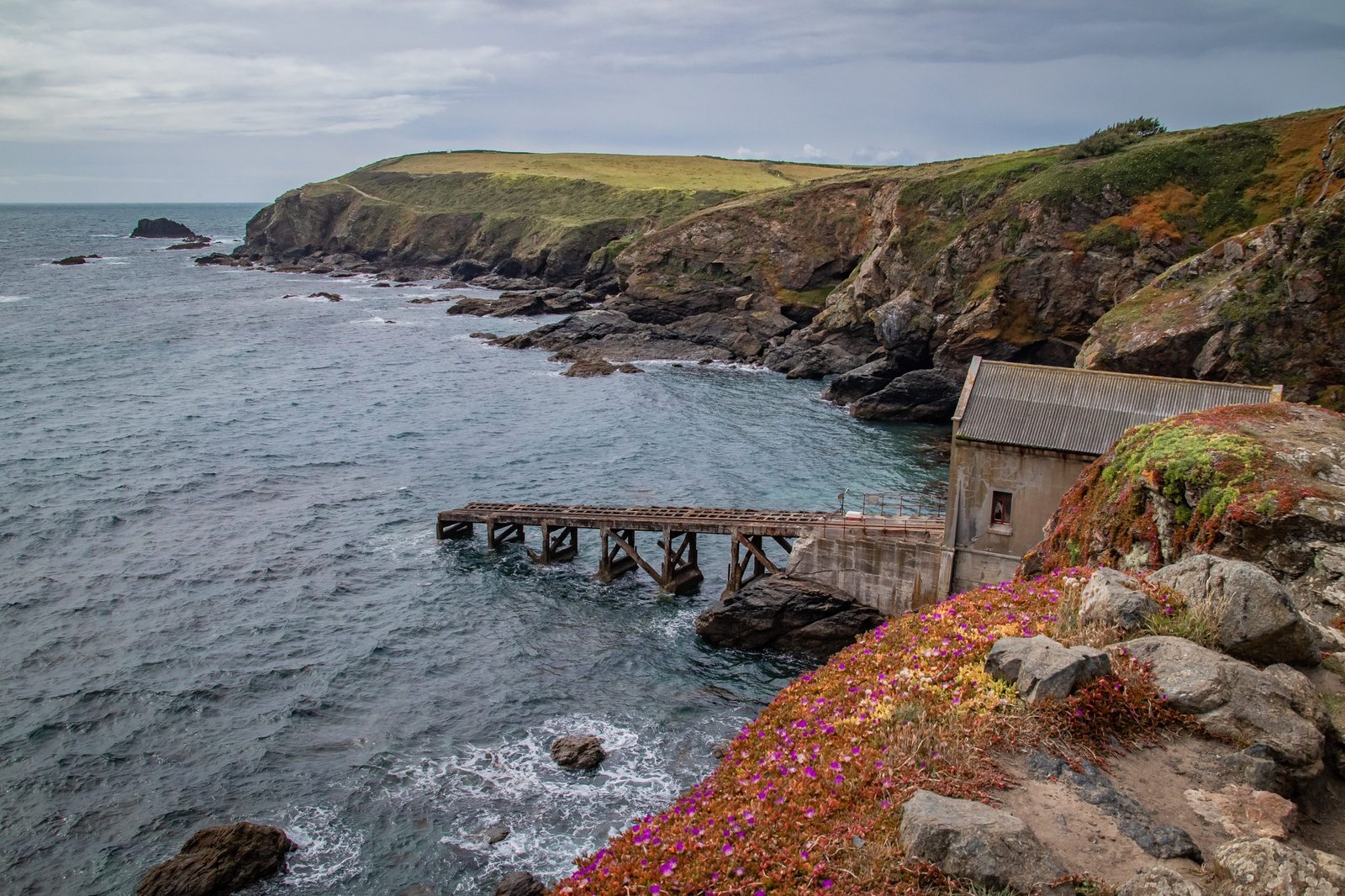 Lizard Point